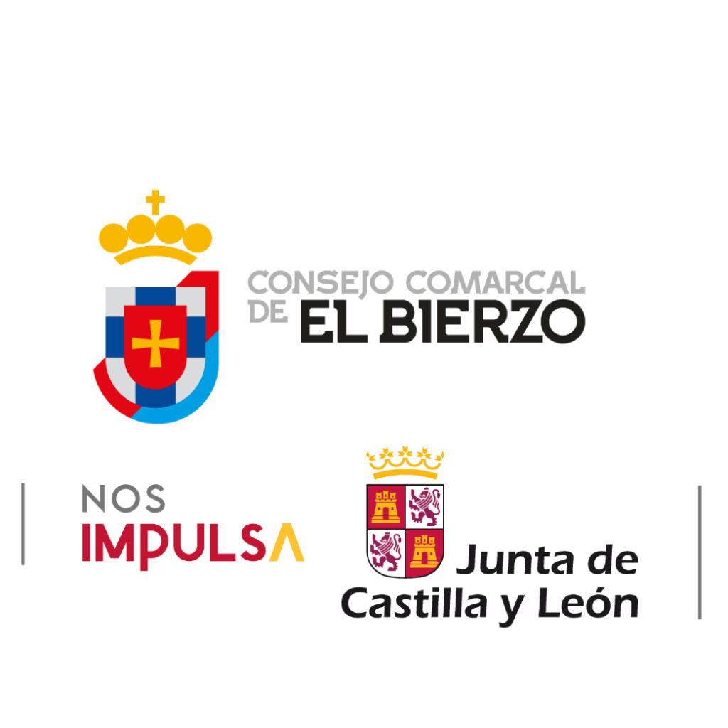 CONSEJO COMARCAL DEL BIERZO